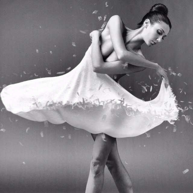 AlfonsIsadore's profile picture. Our luxury towels are made from blending the best American & Egyptian cotton, using a secret weaving technique in the Swiss Alps. For those who demand the best!