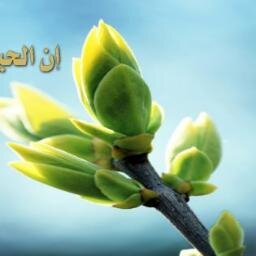 عبد الباسط قويدري
