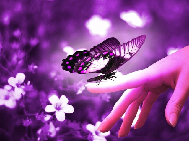 Some people are too tired to give you a smile,
Give them one of yours,
As none needs a smile so much as he who has no more to give.
