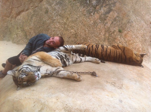 brennfilice's profile picture. 100% everyday. Do what makes you happy!