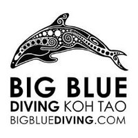 Big Blue Diving(@BigBlueDivingKT) 's Twitter Profile Photo