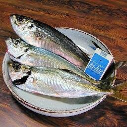 煮るなり焼くなり好きにしてください。
リプは遅くなると思います
