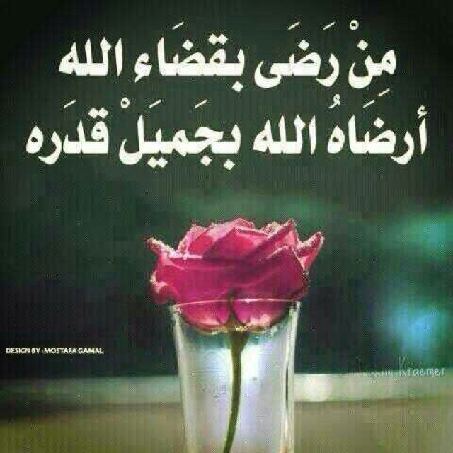 ام محمدالصالح