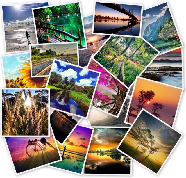 mypointofviewtw's profile picture. 