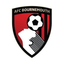 AFCBlegacyfan's profile picture. Tweets about #afcb