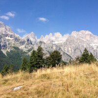 michele bezzi (@michelebezzi) 's Twitter Profile