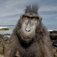Thomas Malley (@nightlord2009) 's Twitter Profile