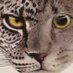 Clach na Cuddin (@fernbank114) Twitter profile photo