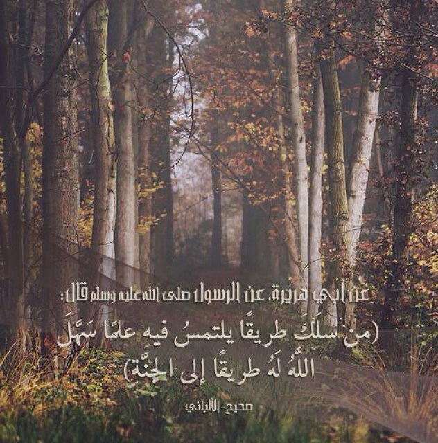 السلام عليكم ورحمة الله وبركاته .. صدقة جارية لي ولوالدّي ولأخواني ولجميع موتى المسلمين ، اللهم إني أسألك حسن الخاتمة.