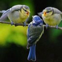 سبحان الله العظيم .. (@0554136351) Twitter