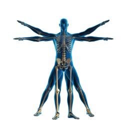 arth_mac's profile picture. The American Medical Association will add, delete, and revise the CPT® manual. To avoid denials delays reimbursement, know the proper coding changes.