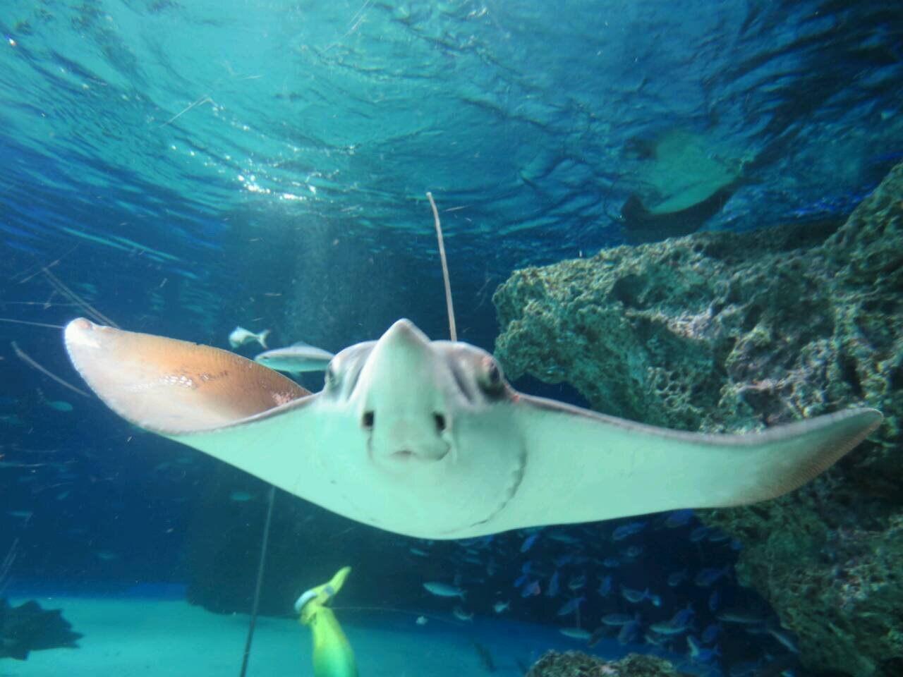 myhr_0828's profile picture. ＊牧春ラブ＊ 続編諦めない！！きっとあると信じて。