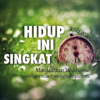 Veterinarian Chicken Expert | Management System Consulting | People Development | Food Safety, Quality & Halal Trainer