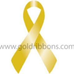 Brandon's Defense Foundation was founded in 2009 to help children with cancer and their families and help fund research for pediatric cancers.