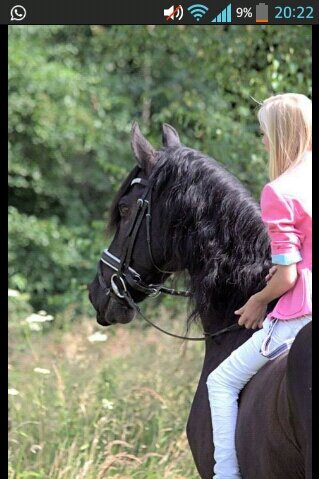 ♥ schatje @xmustageloverx ♥allesjuuh cilvano ♥ vrienden staan ni in me bio maar in me hart♥