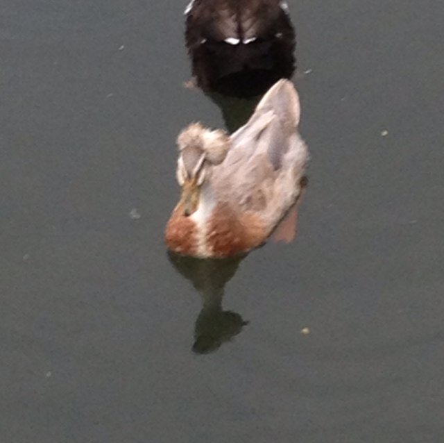 ouhaoja's profile picture. 