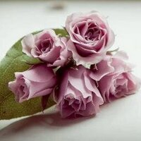 Simon Murdoch (@simonjmurdoch) 's Twitter Profile