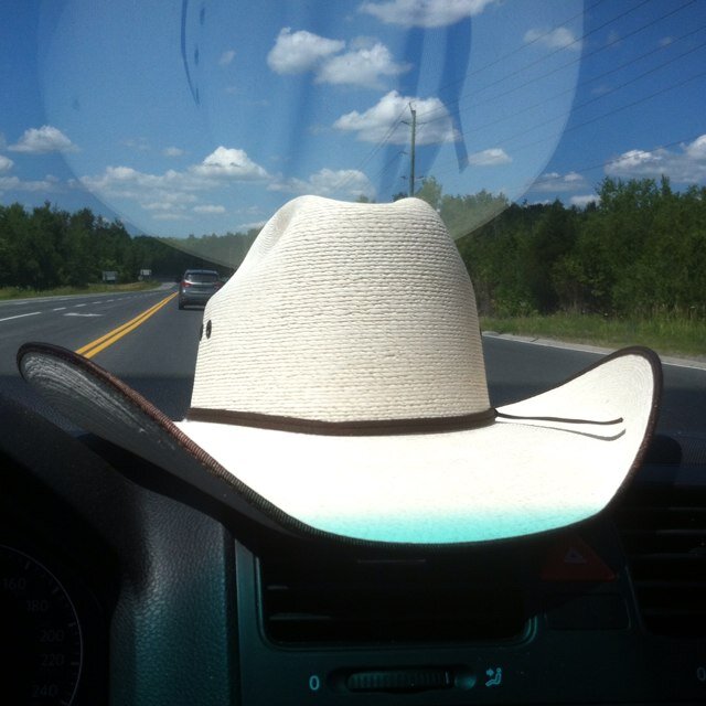 diego_todd's profile picture. 