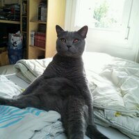 Aermch (@aermch) 's Twitter Profile