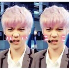 โอ้วเย่! เซไฮ เอวี่วัน ติ่ง Exo เมนลู่หาน คุยกันได้นะเน้อ