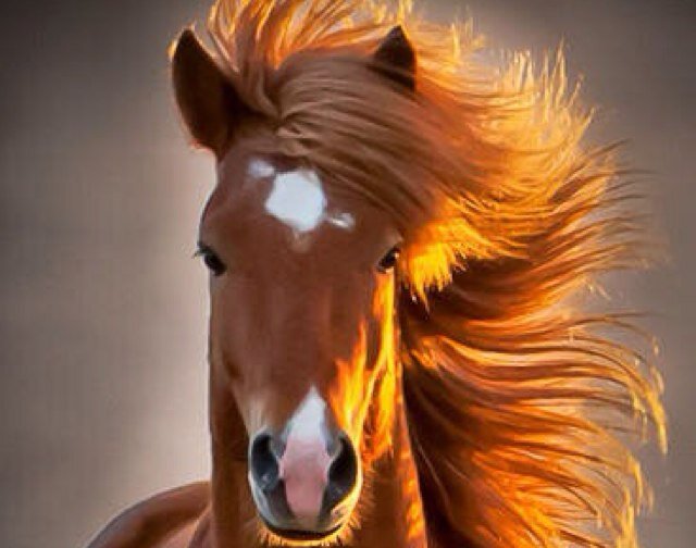 alqarni_aha's profile picture. شاعر بصداع وشاعر بطفش وشاعر بفراااااااغ كبير المهم اني شاعر بشي،،،،، بعض كتاباتي تلاقونها بالمفضله ,,,,,,,,,,,(مفضلتي ابيات لي وابيات راقت لي )