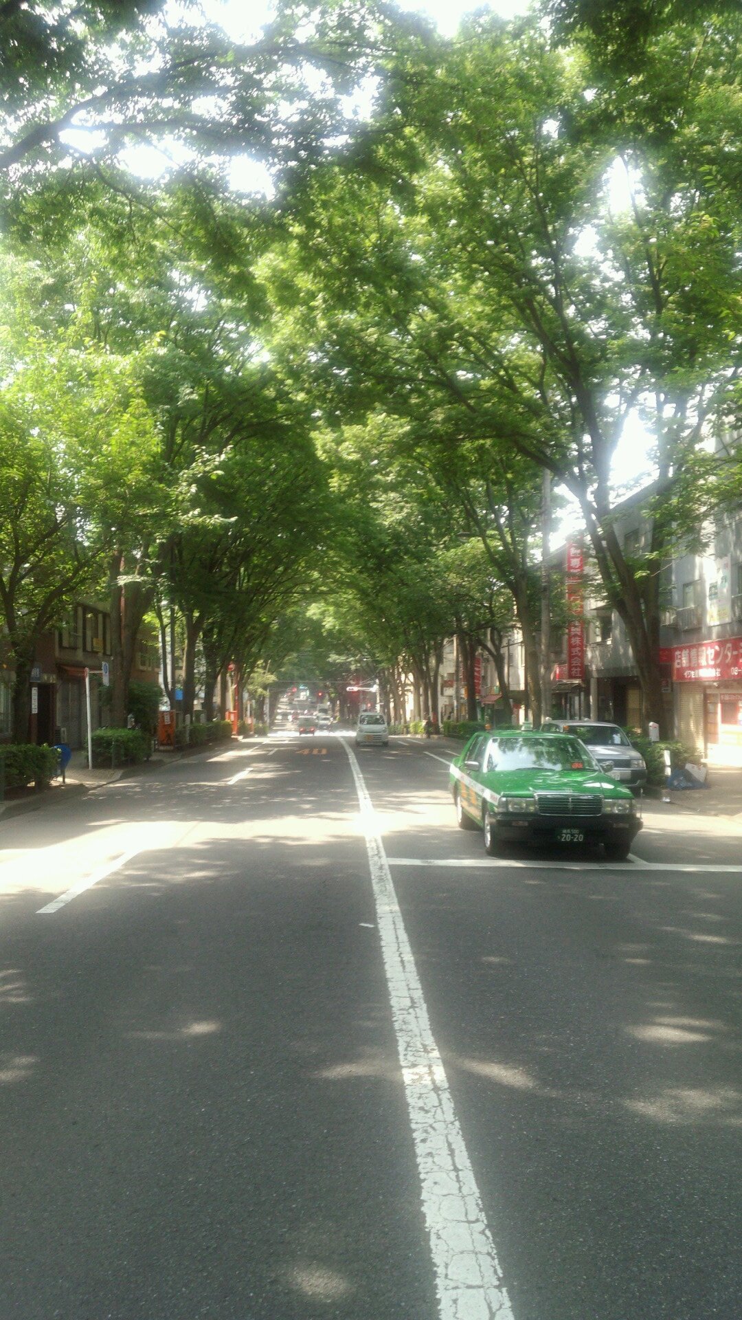 16th & 構成員名簿 Gt.