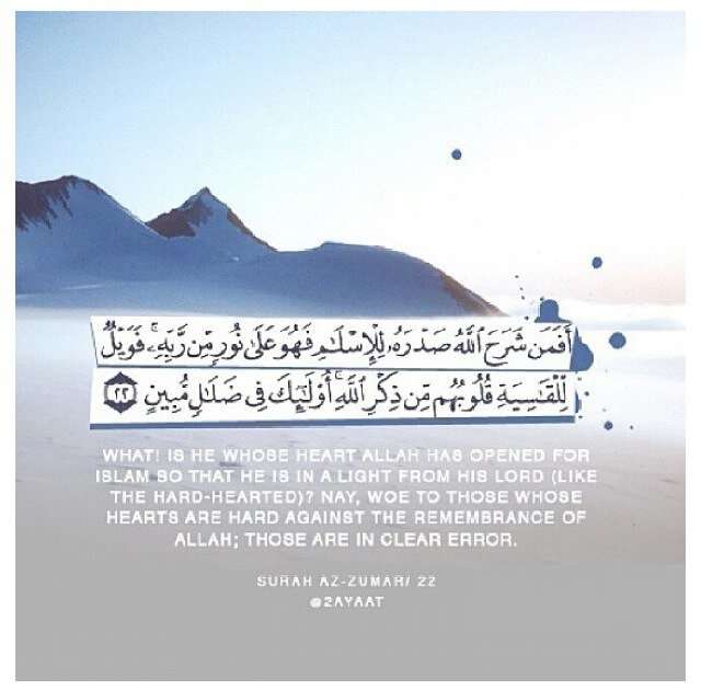 Mercy_Religion's profile picture. Welcome you all .. for more information you can visit these links. (https://t.co/HqviS1hzhd)