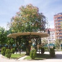 Ramón Zapata Martinez (@zapmarra) 's Twitter Profile Photo