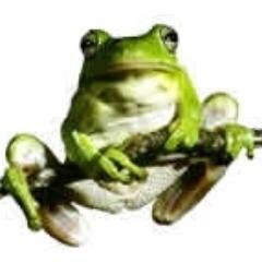 MrsRMacLeod's profile picture. 