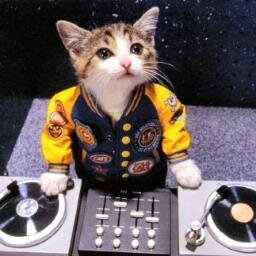 ¿Desde cuándo un gato se pincha botox, tiene Twitter y firma autógrafos en el Corte Inglés? Desde que estoy yo aquí.