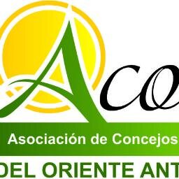 ACORA nace en el año 2003 y se consolida como la principal Asociación de Concejos y Concejales de los municipios de Oriente Antioqueño y conexos.