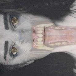 wildwolf1488's profile picture. 