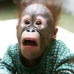 pitagwongjun's profile picture. 