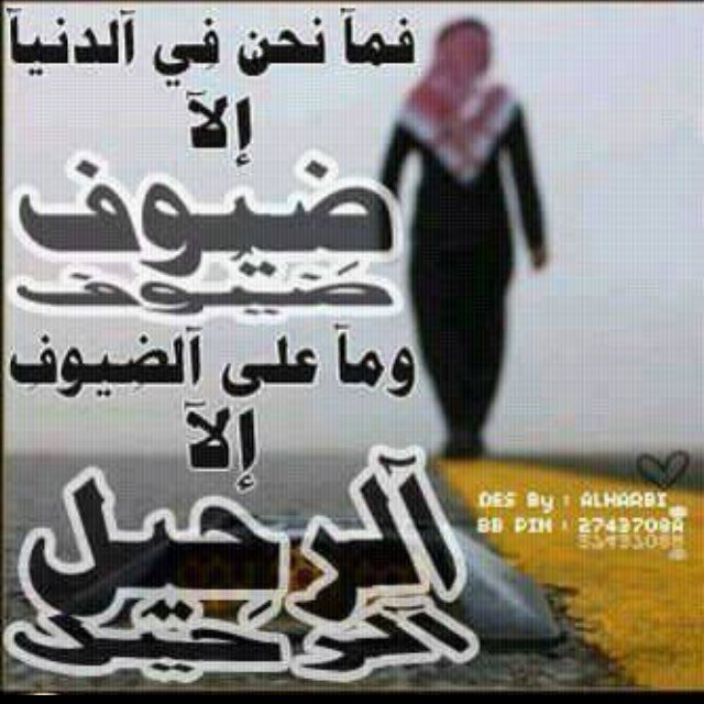 I2008G's profile picture. 