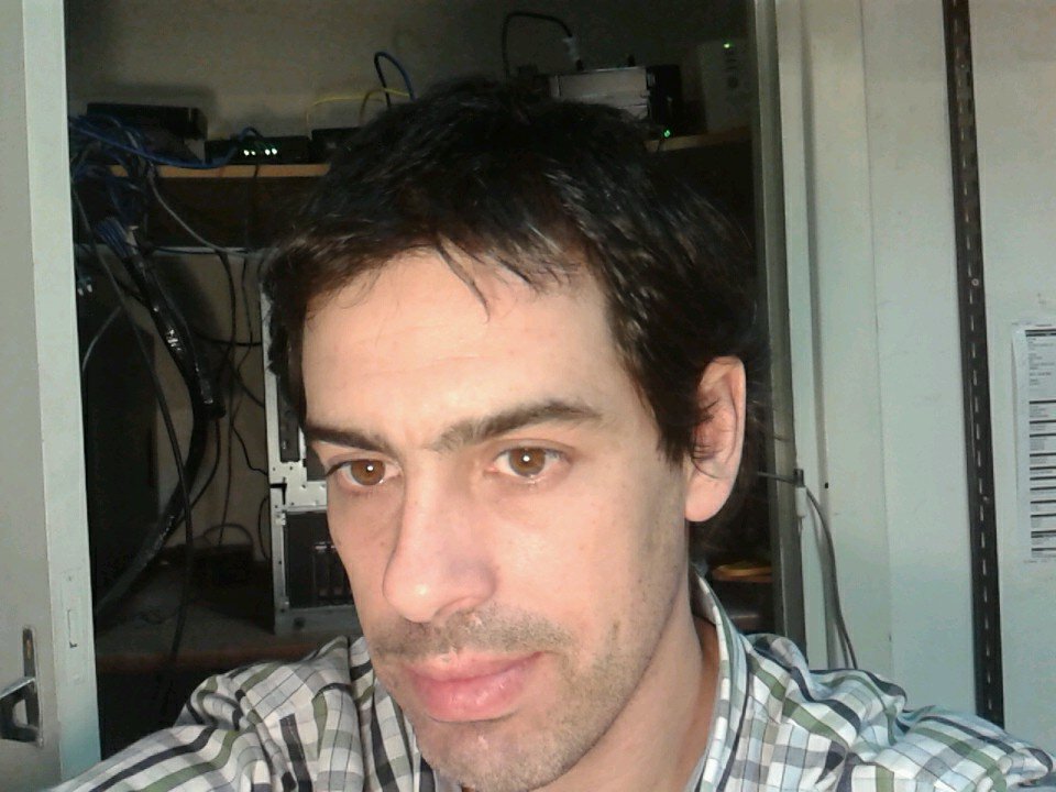 IT guy.