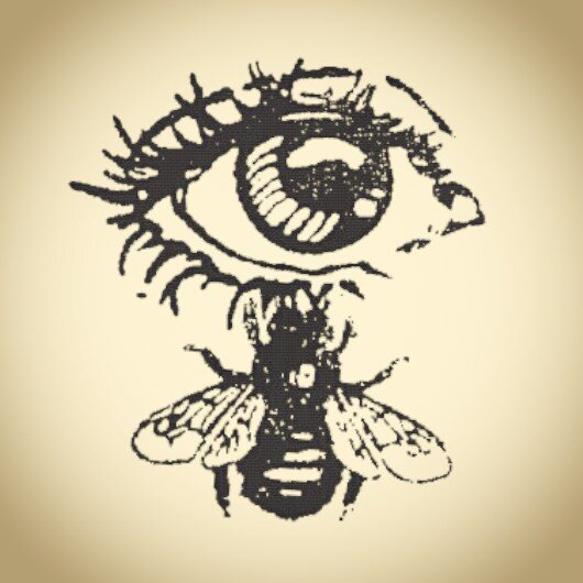 jewellery&accessories made using real insects, bones, flora and fauna, (all specimens died of natural causes) im also a taxidermist. Visit my shop here