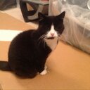 Jo Champion - @jojomanx - Twitter