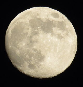 ToneyInch's profile picture. 