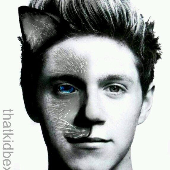 hye, girlsss... ahaha :)  i will follow u guyz back, ask for follow back, follow me on instagram @narry_beauty