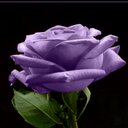 ALENZy (@1969Chany) Twitter