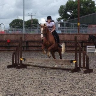 niamh_xoxo's profile picture. once a bitch,always a bitch