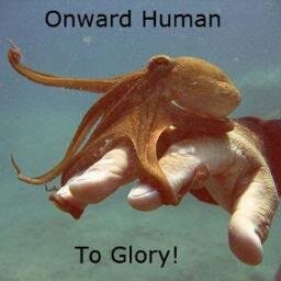 julienmillette's profile picture. 