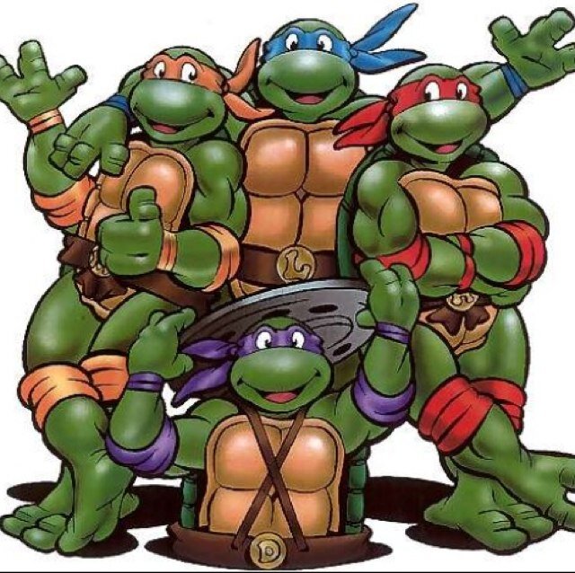 This profile is nothing TMNT! Tweet me pics or anything to do with TMNT #TurtlePower