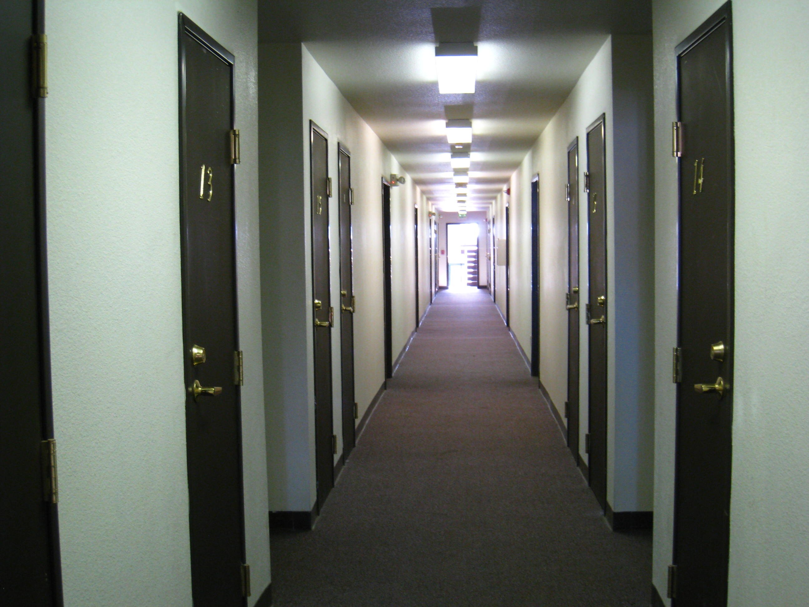 What does my hallway smell like today?