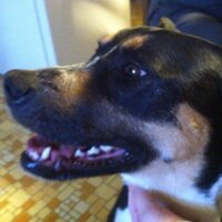 DKH (@realsobotka) Twitter profile photo
