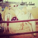 ذايرمتروك بن ذاير (@05536455676) Twitter