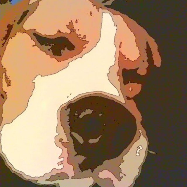 Stubborn, gorgeous, strong willed, ridicously naughty, extremely vocal and most of all, very lovable... everything any self respecting beagle should be!!!