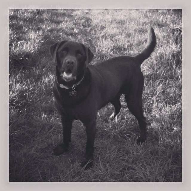 jensmithie's profile picture. 