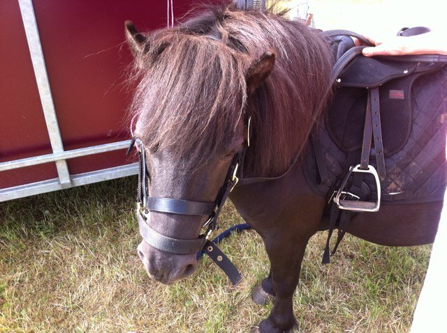 MckieSamantha's profile picture. 