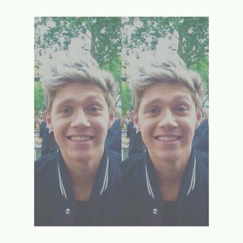 siamo spiacenti,ma Niall James Horan ha mangiato la sua descrizione.